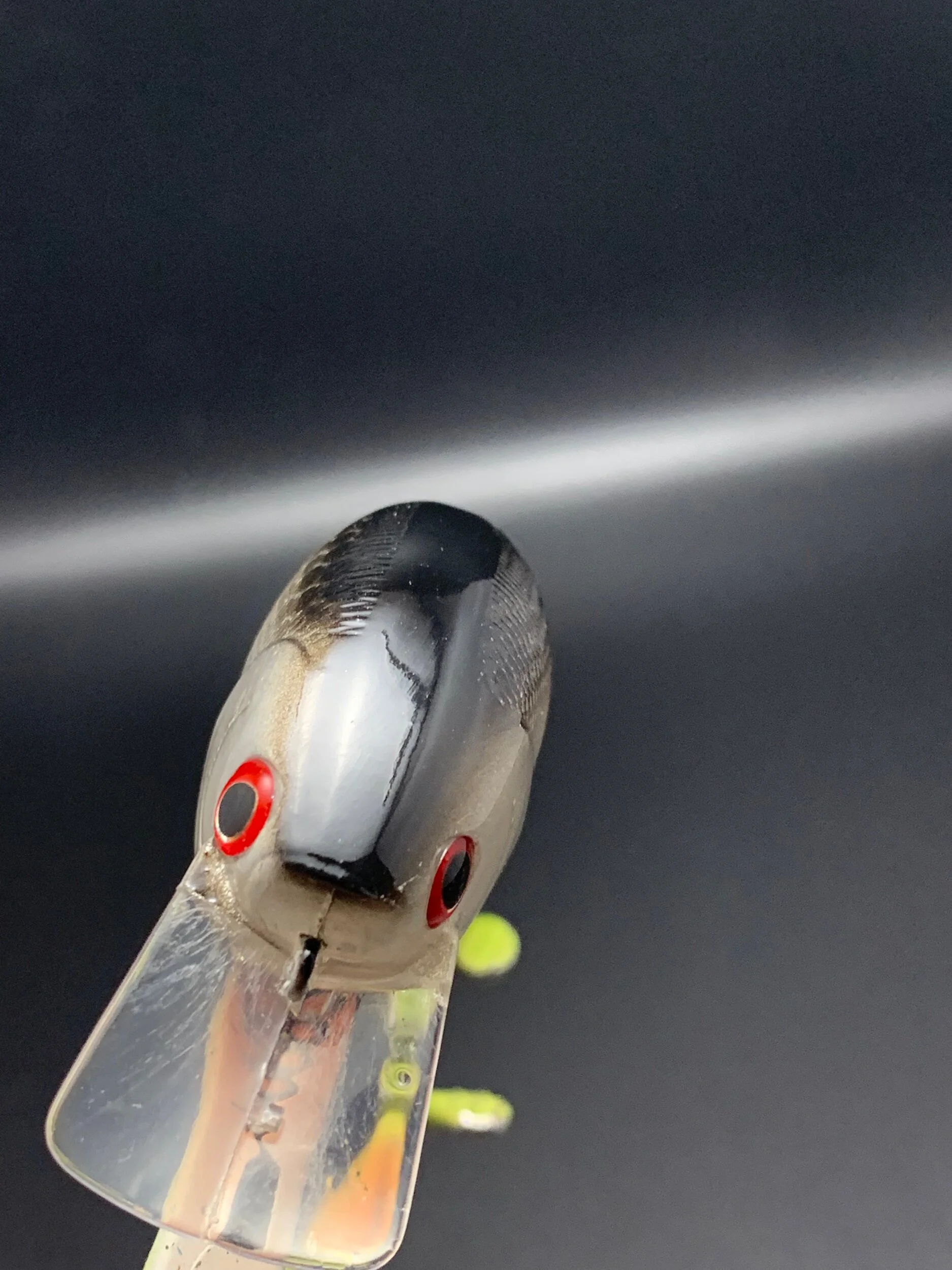 8E333881-B5B8-45E4-A99F-12F9DCDD6E6A