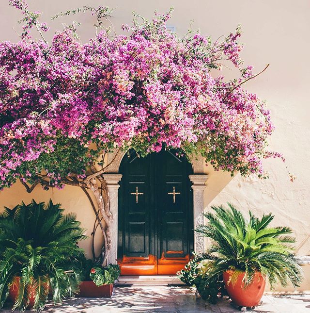 Is Corfu on your travel wish list?
💫
Follow the link in our bio today to get the travel buzz.
💫
Boom Buzz Collective is a Community of passionate travellers sharing their most memorable experiences.
💫
Got a favourite travel post you'd like to shar