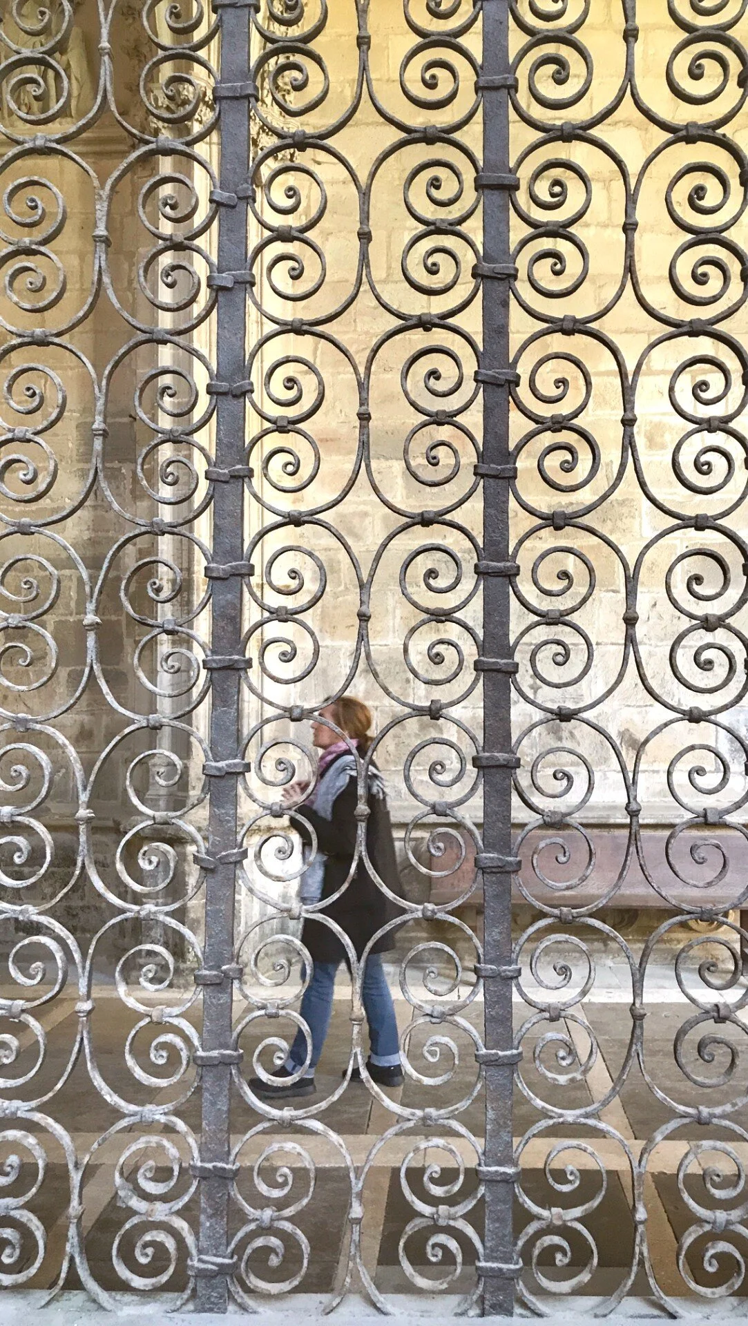 Wrought Iron Screen