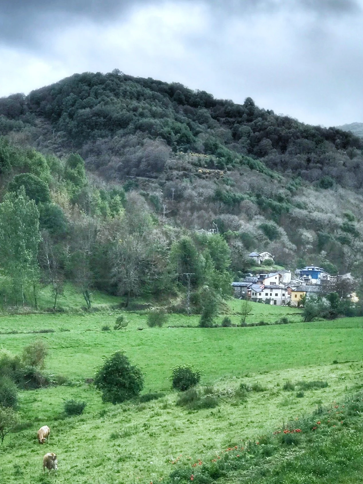 Camino-Ambasmestas-OCebreiro-village-fields.jpg