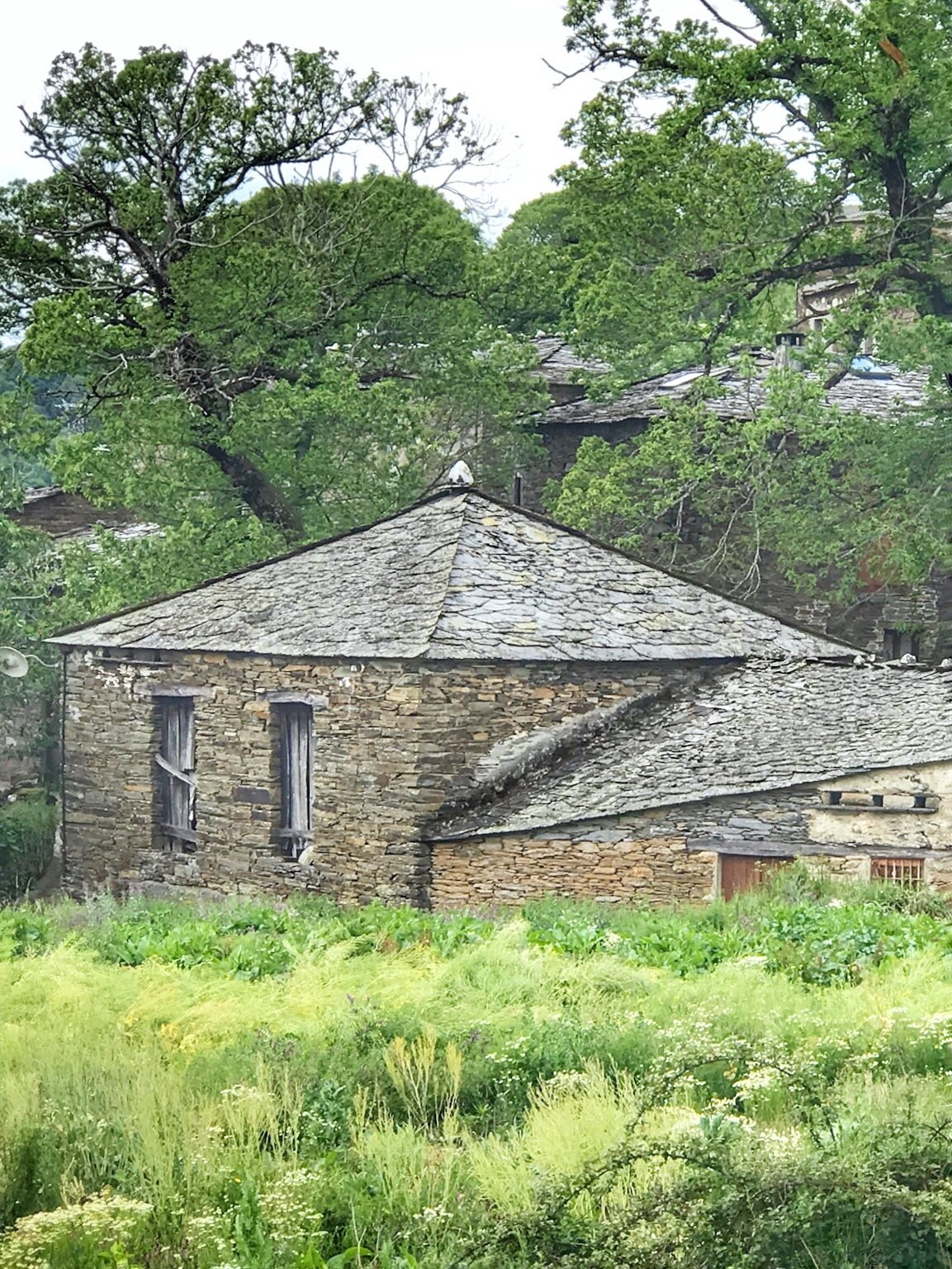 Camino-OCebreiro-Triacastela-stone-farmhouse-vertical.jpg