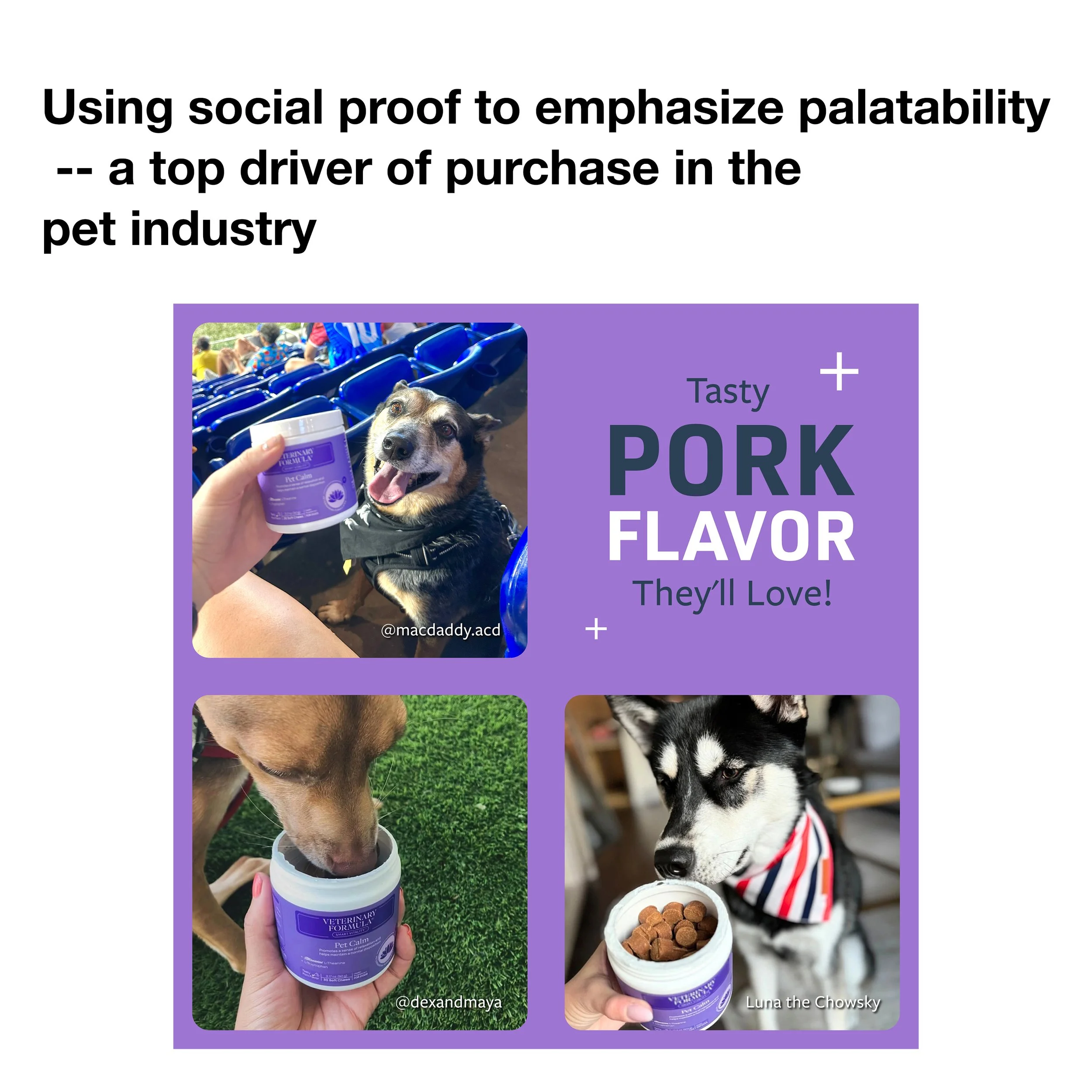 tasty-pork copy.jpg
