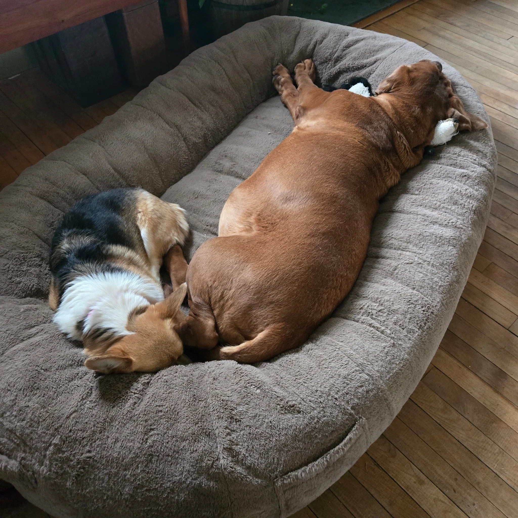 Wouldn't be my first choice if where to sleep. To each their own i guess 🤣