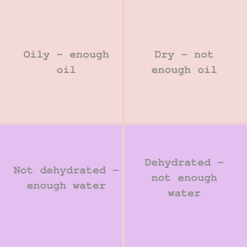 dry vs dehydrated.png