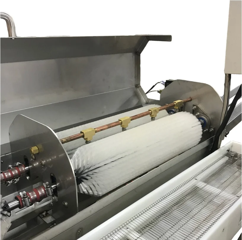 Powerful 1/4 HP direct drive motors on brush shafts.