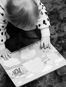 Toy &amp; Puzzle Library