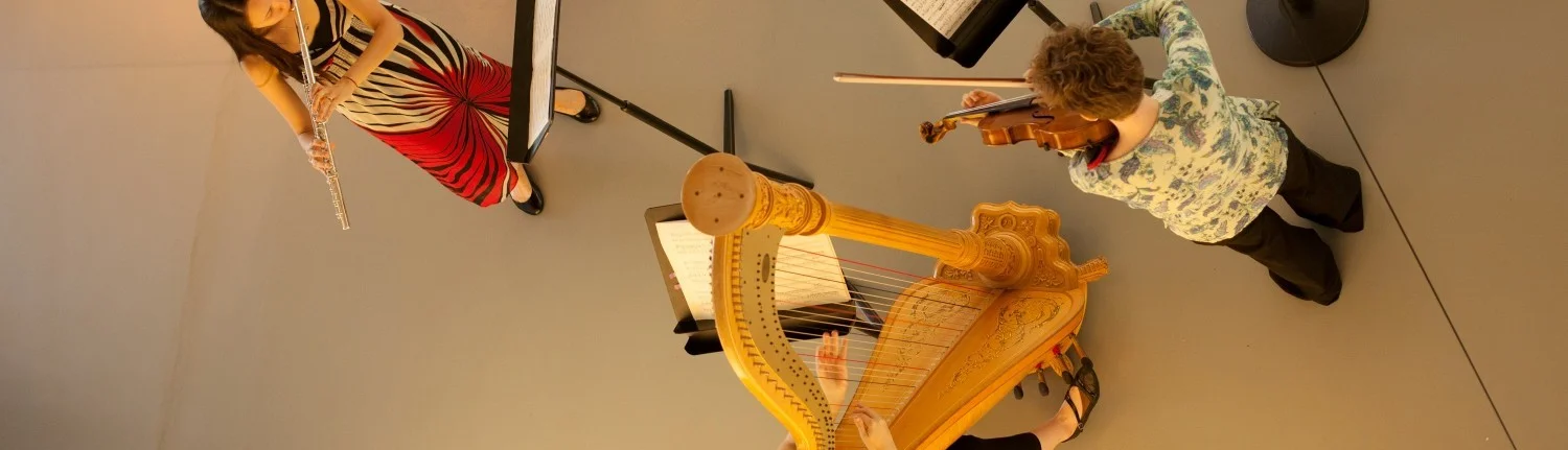 Transitions and Resolutions!