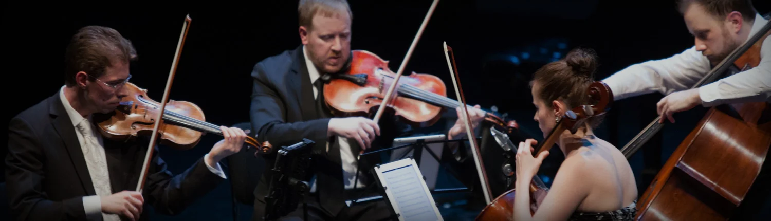 Music as Visual Expressions