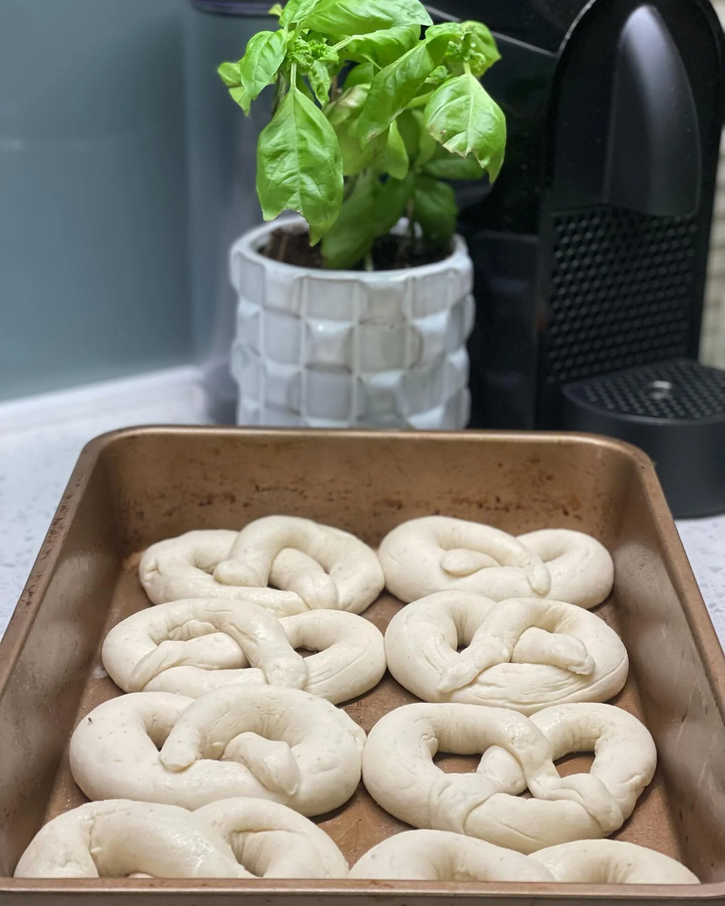 First pass at Pretzels!