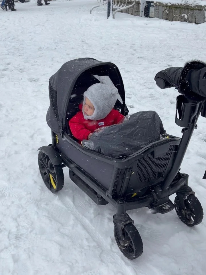 Ish licks snow for the first time. ❄️
#whistler #beautifulbc