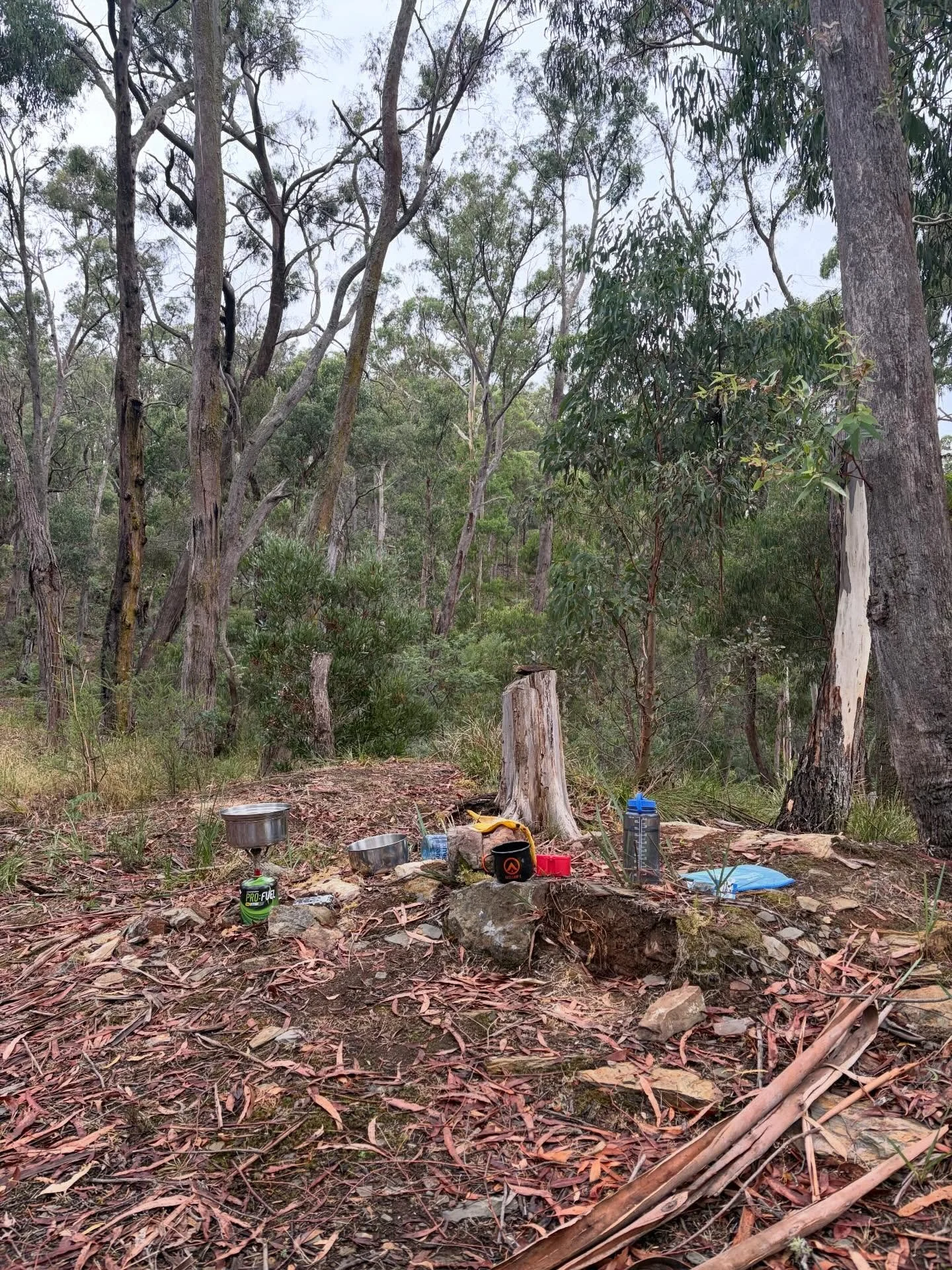 Birthday weekend. 🩵💚💚🩵
#birthdayweekend #camping #victorianforest #timeoutdoors