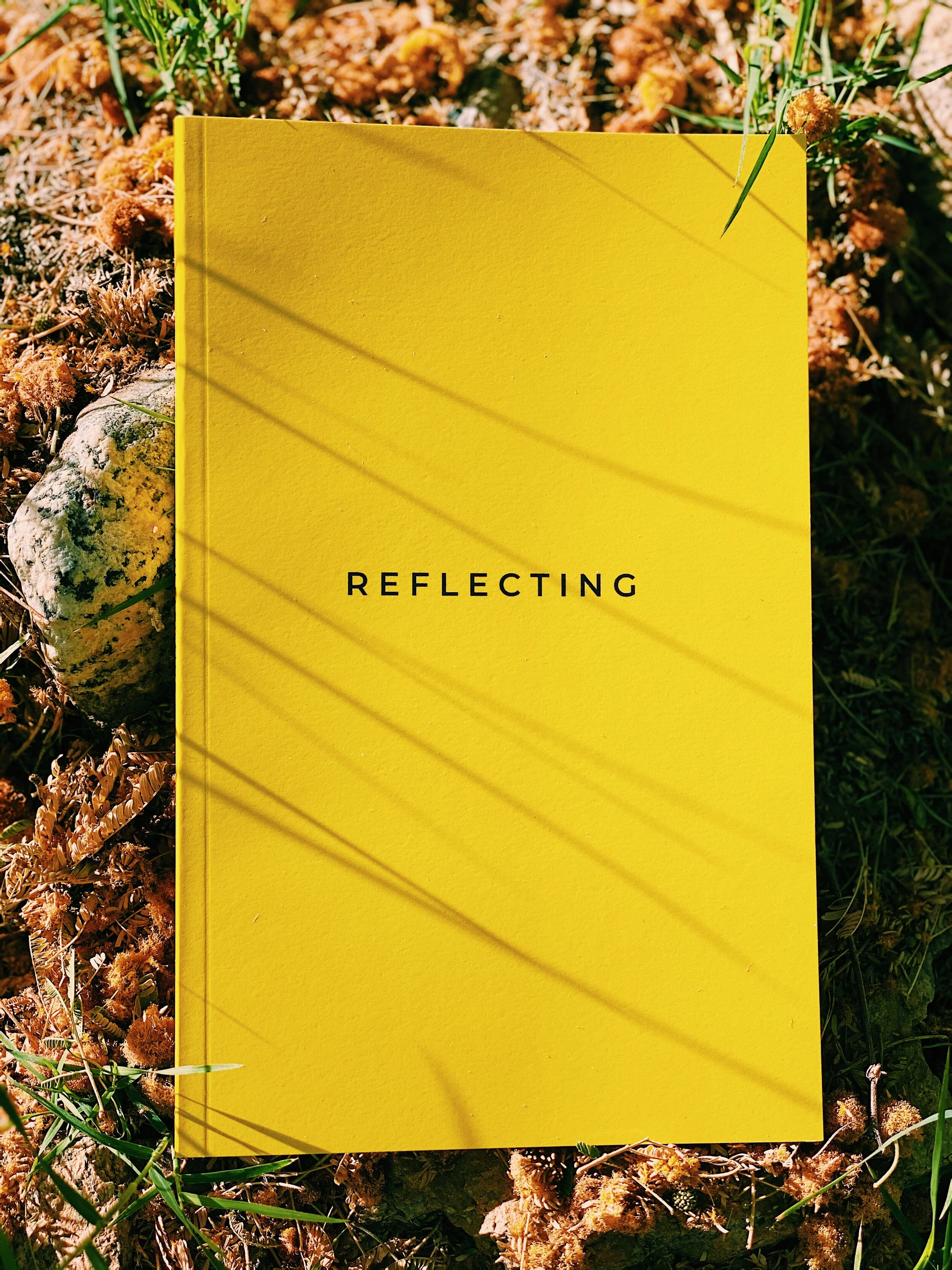 Reflecting Journal by Superbloom. Mental Health Journaling Exercise