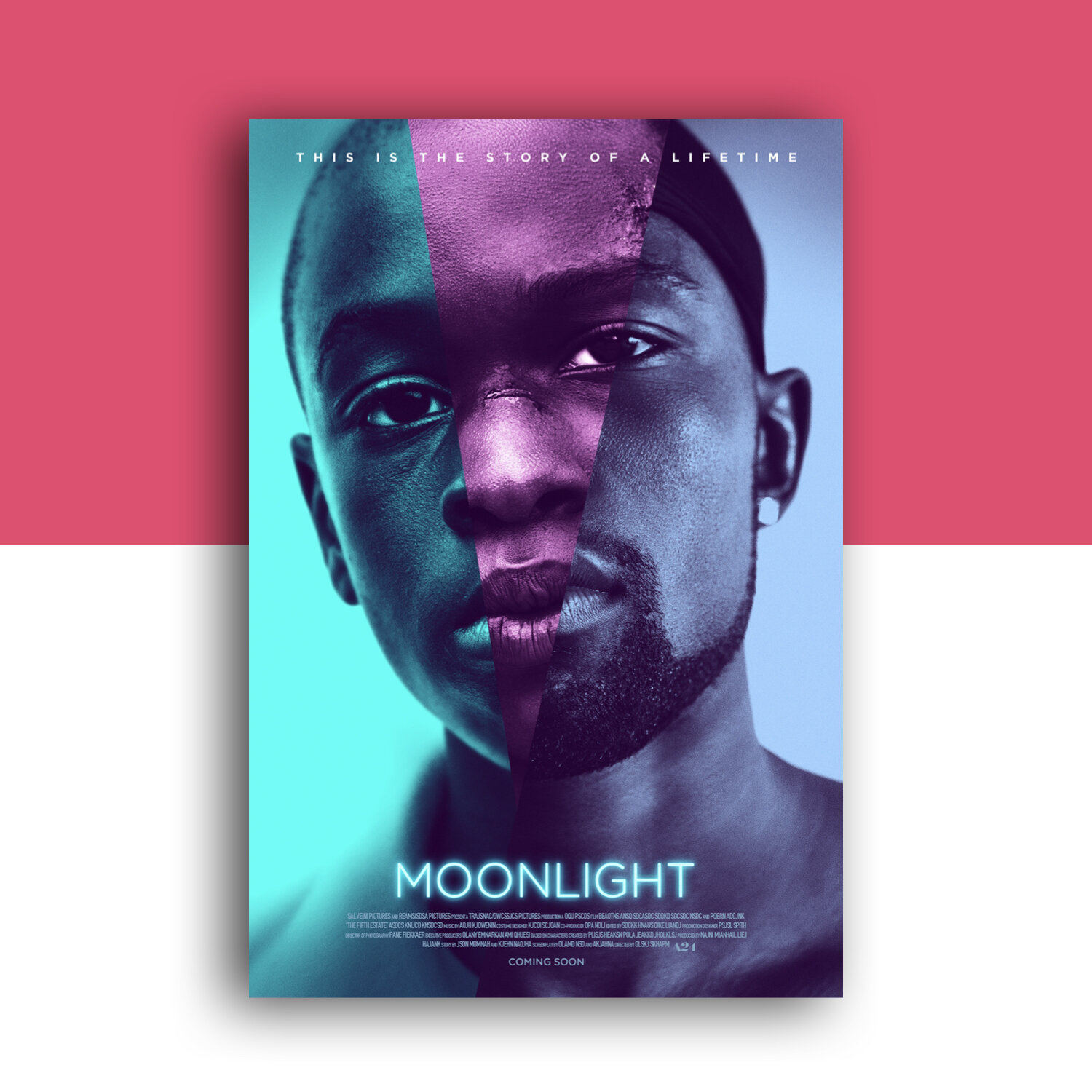 equality-superbloom-moonlight-movie.jpeg