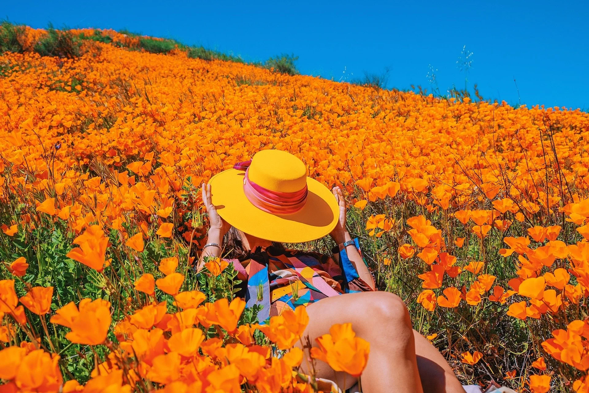 SUPERBLOOM A Color Company