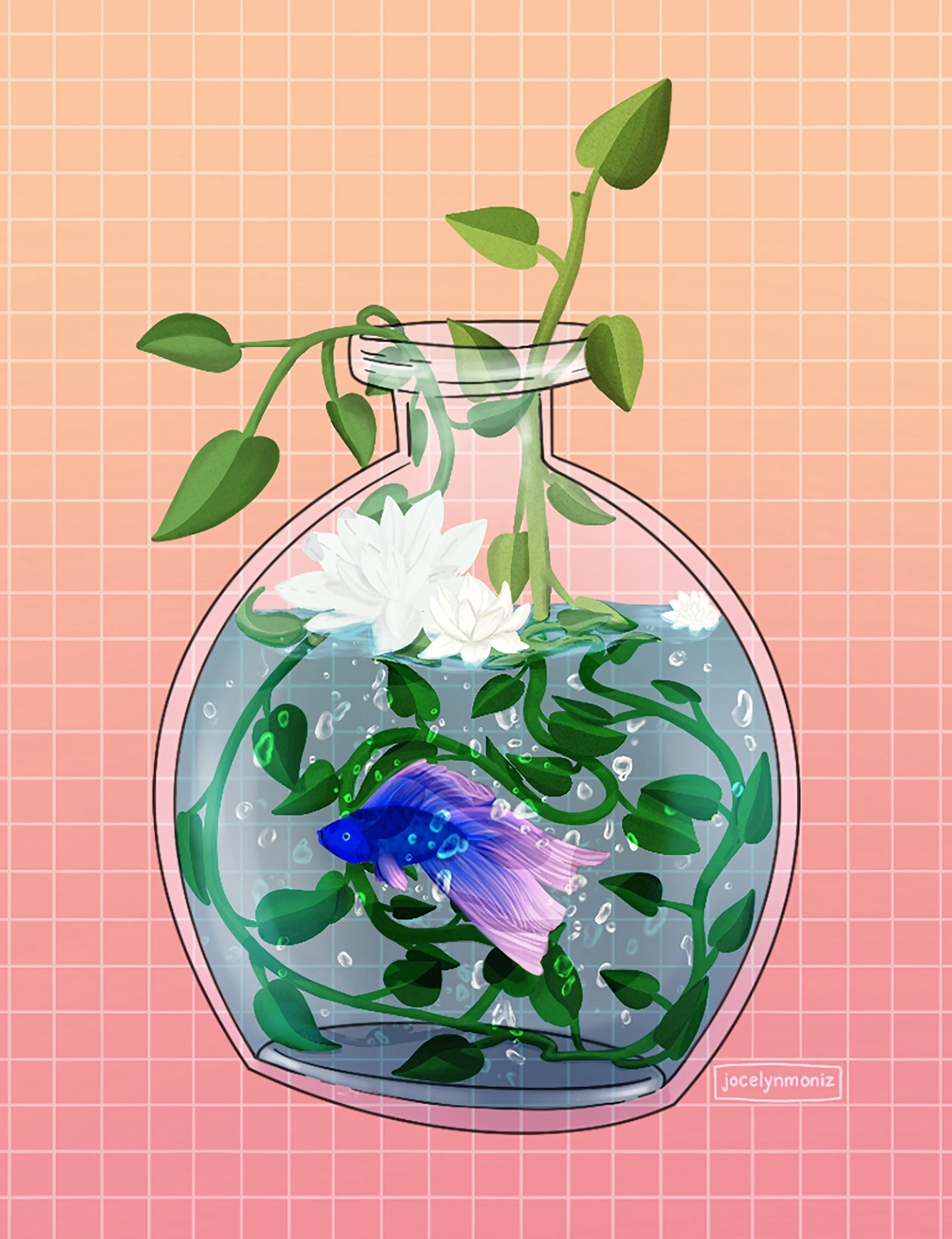 feesh.jpg