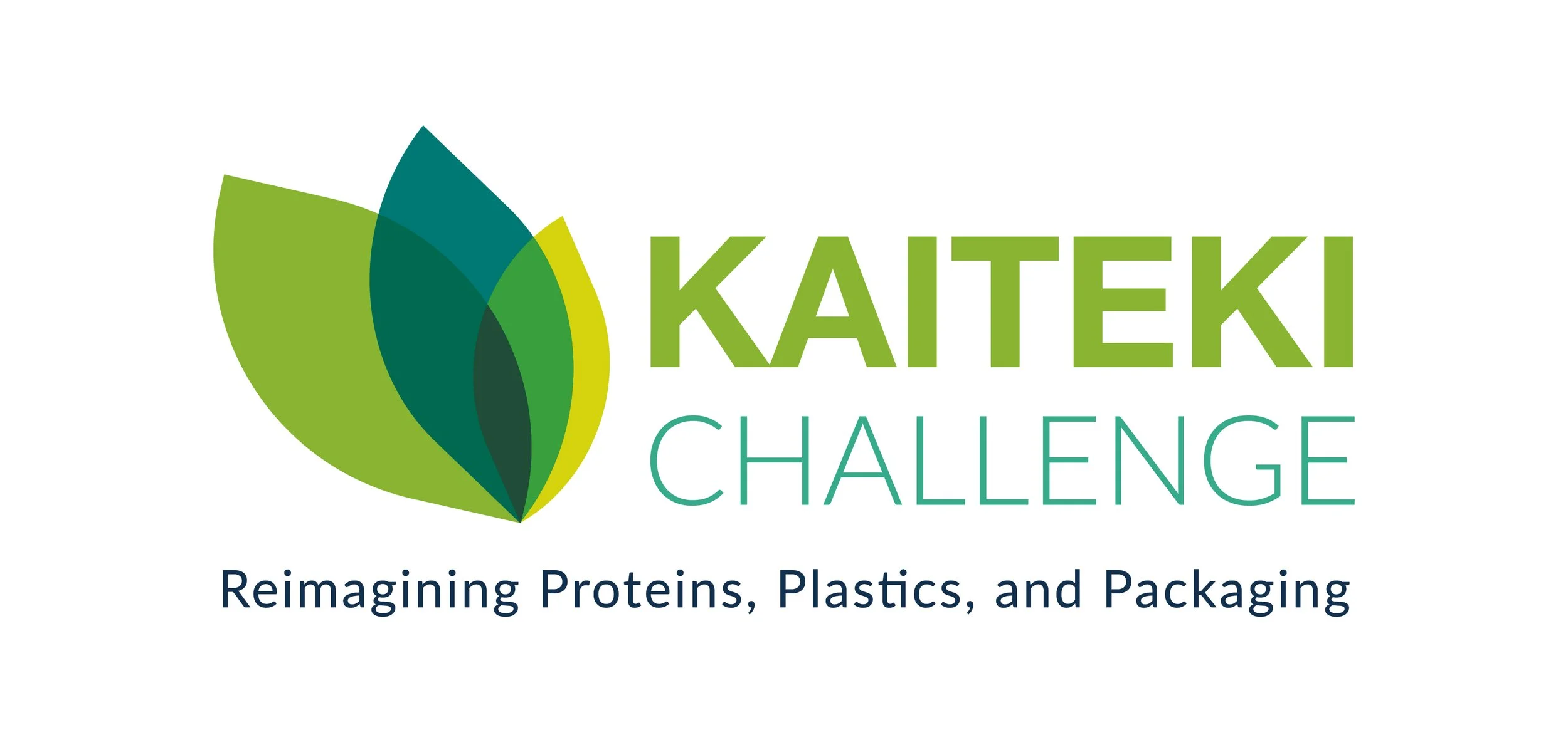 Kaiteki-Challenge-logo.jpg