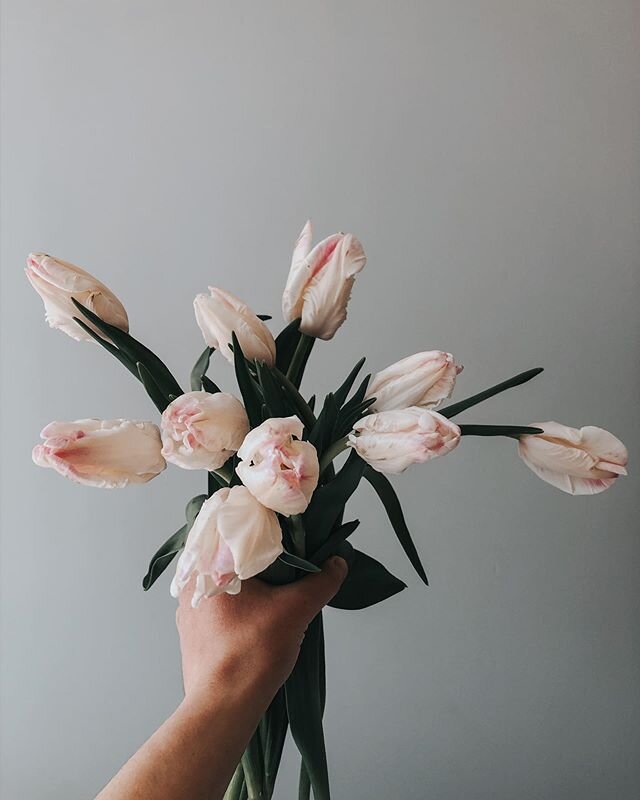 If there&rsquo;s someone on your heart to send flowers to this week, let me know. I&rsquo;d love to be part of your care for them ♡