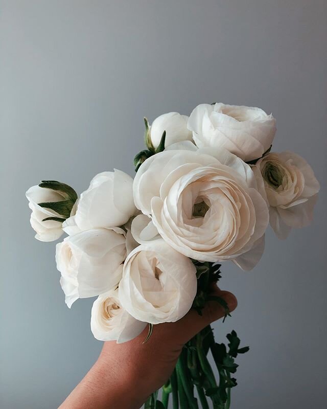 Fill your home with pretty blooms this week or why not send flowers to that person you&rsquo;ve been thinking about 🌿 Delivery or pick-up in Bankview on Wednesday, June 10.