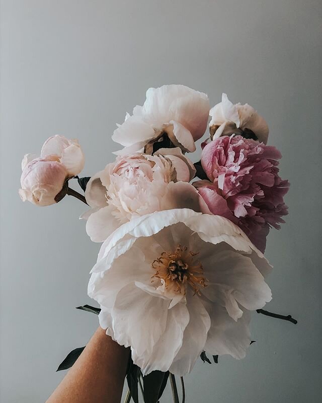 Here&rsquo;s some dreamy peonies to send you off into the weekend ✨