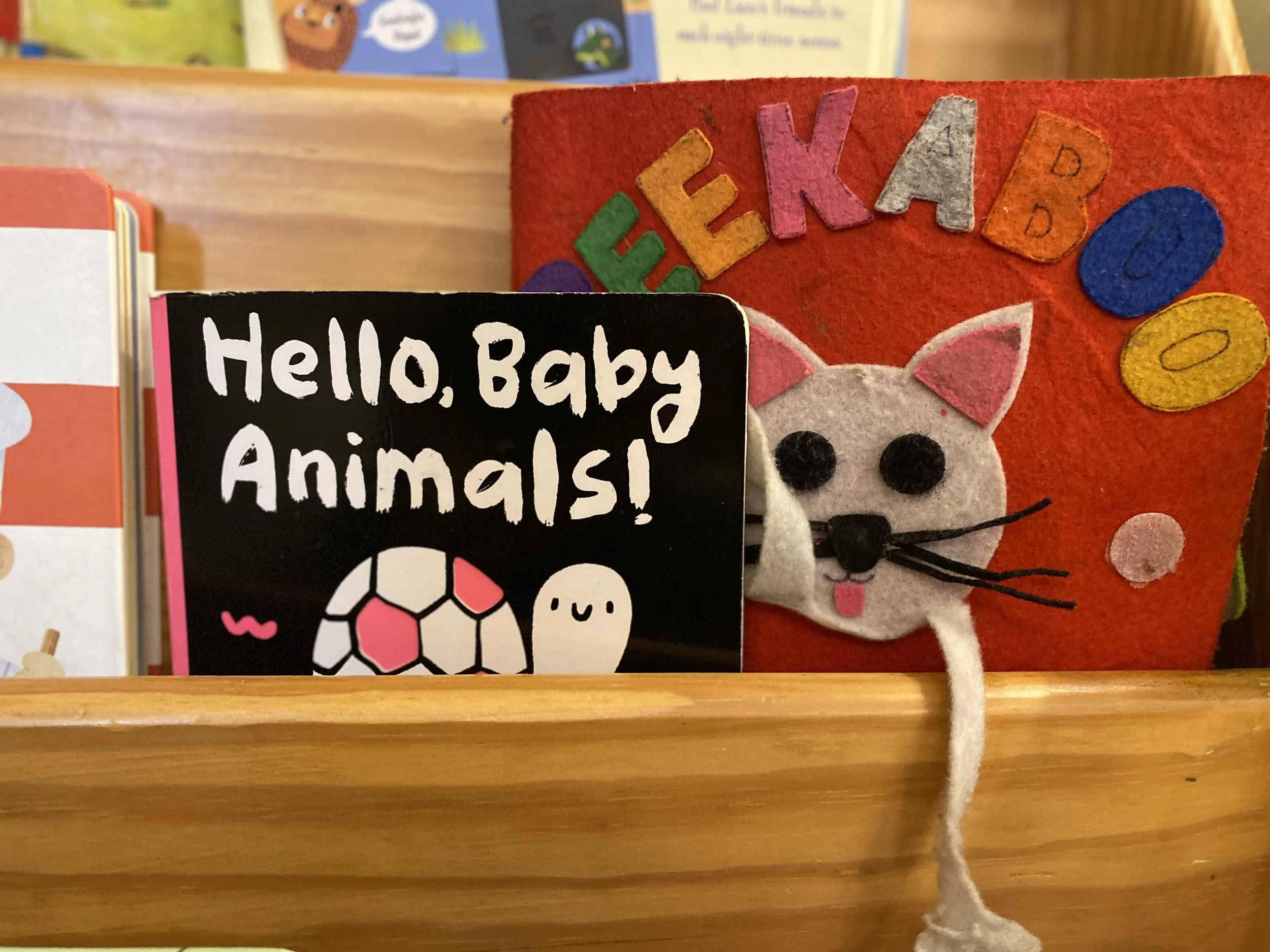 Can We Read A Book, Or Seven? 