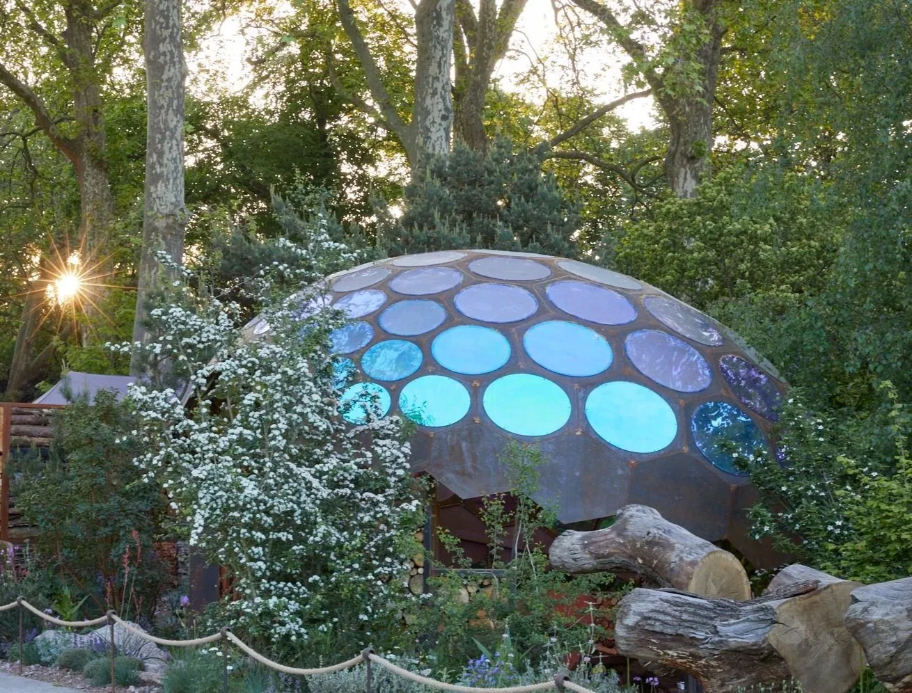 Royal Entomological Society Garden at the RHS Chelsea Flower Show, supported by Project Giving Back.