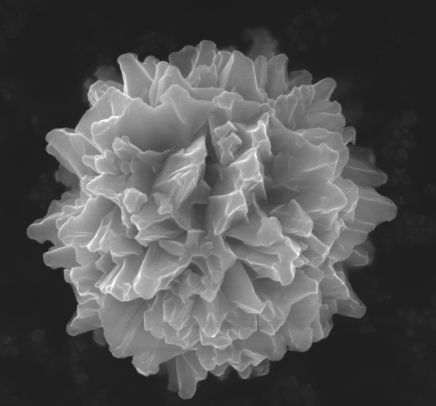 Heat treated metallic particle