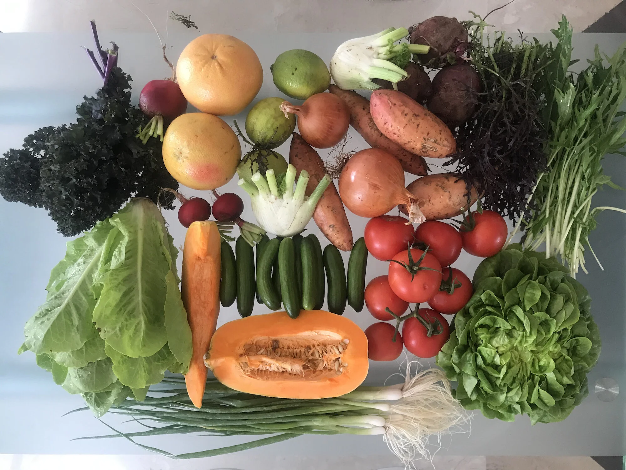 Bustana Mini Farm Box 3.1.2020