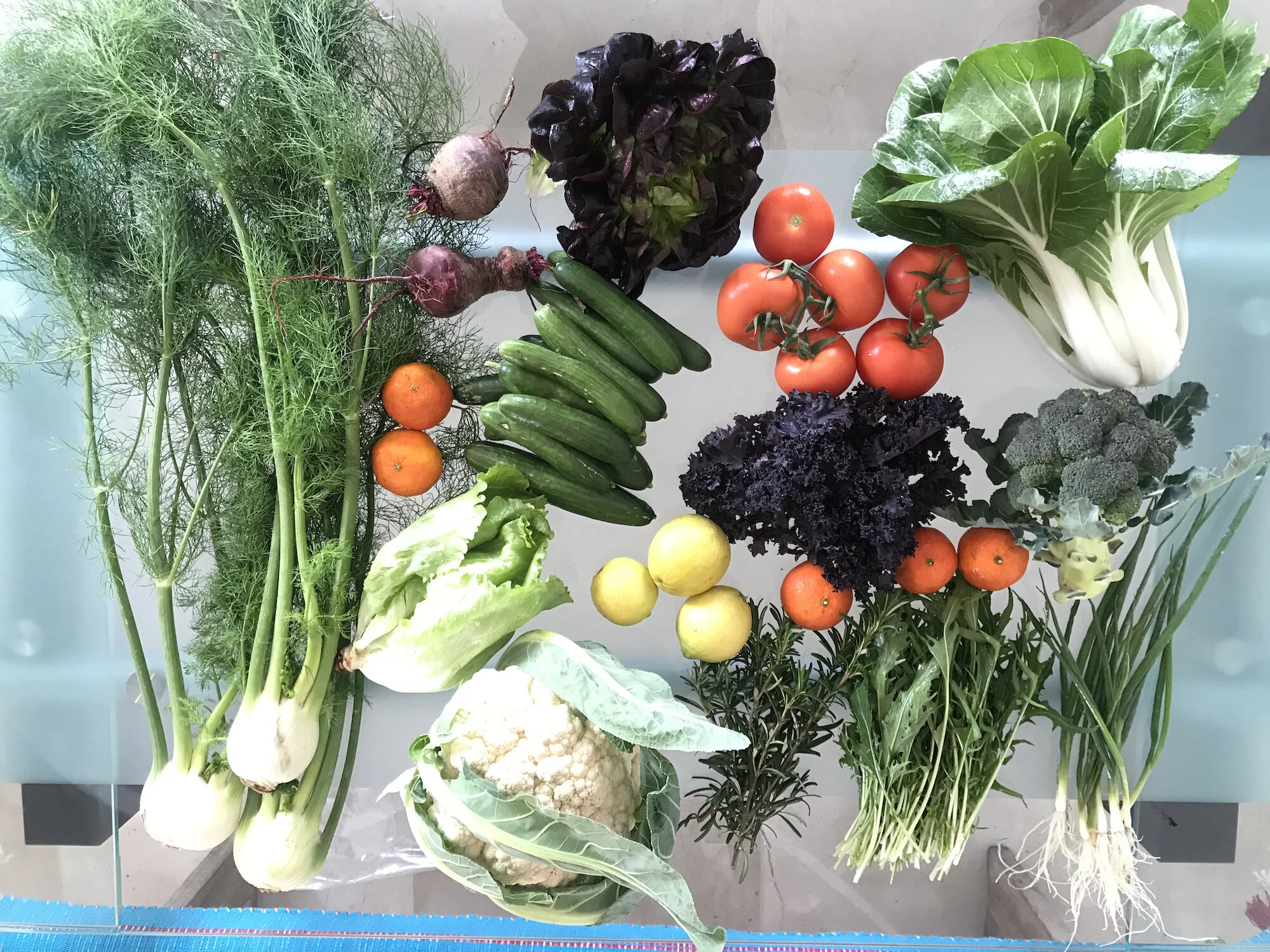 Bustana Mini Farm Box 10.1.2020