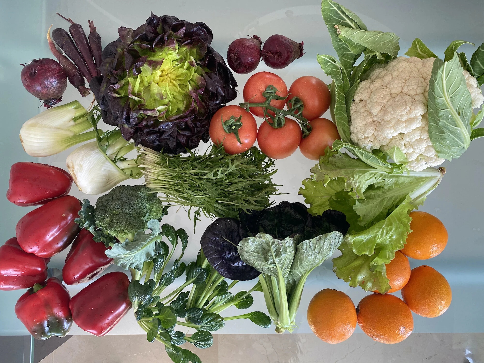 Bustana Mini Farm Box 24.1.2020