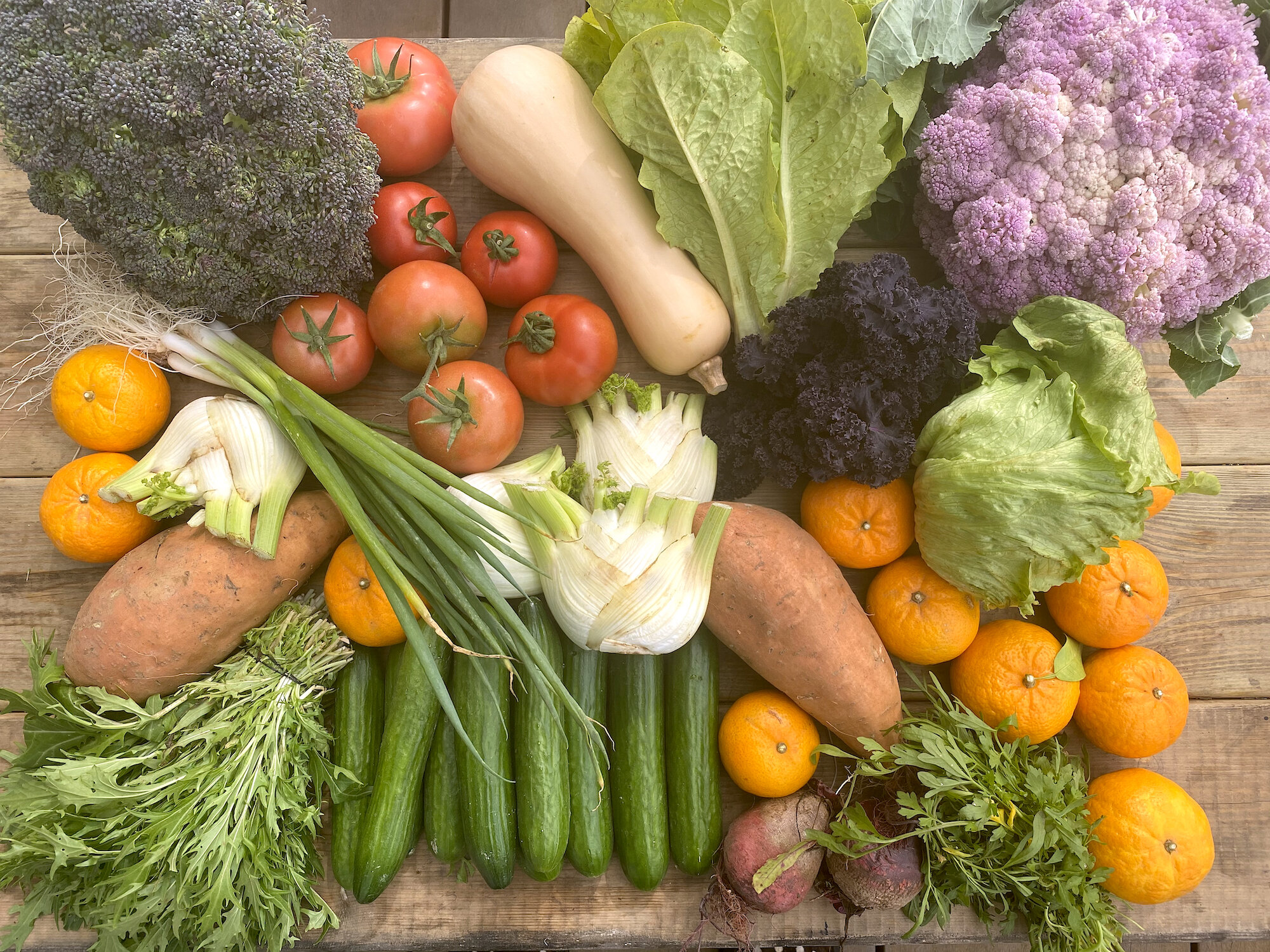 Bustana Mini Farm Box 14.2.2020