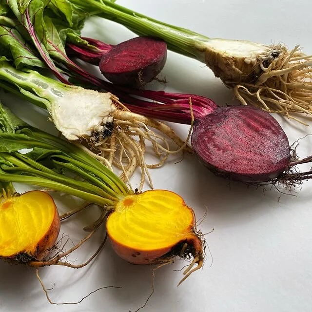 #bustanafarm colors! Celery, beetroots, and orange beets! (Try eating the orange beets raw or in a salad! They taste so good) ππ§‘π