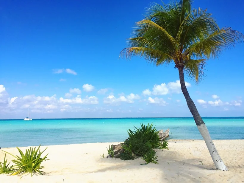 isla_593ecfb61d00000d28cc27e9.jpg
