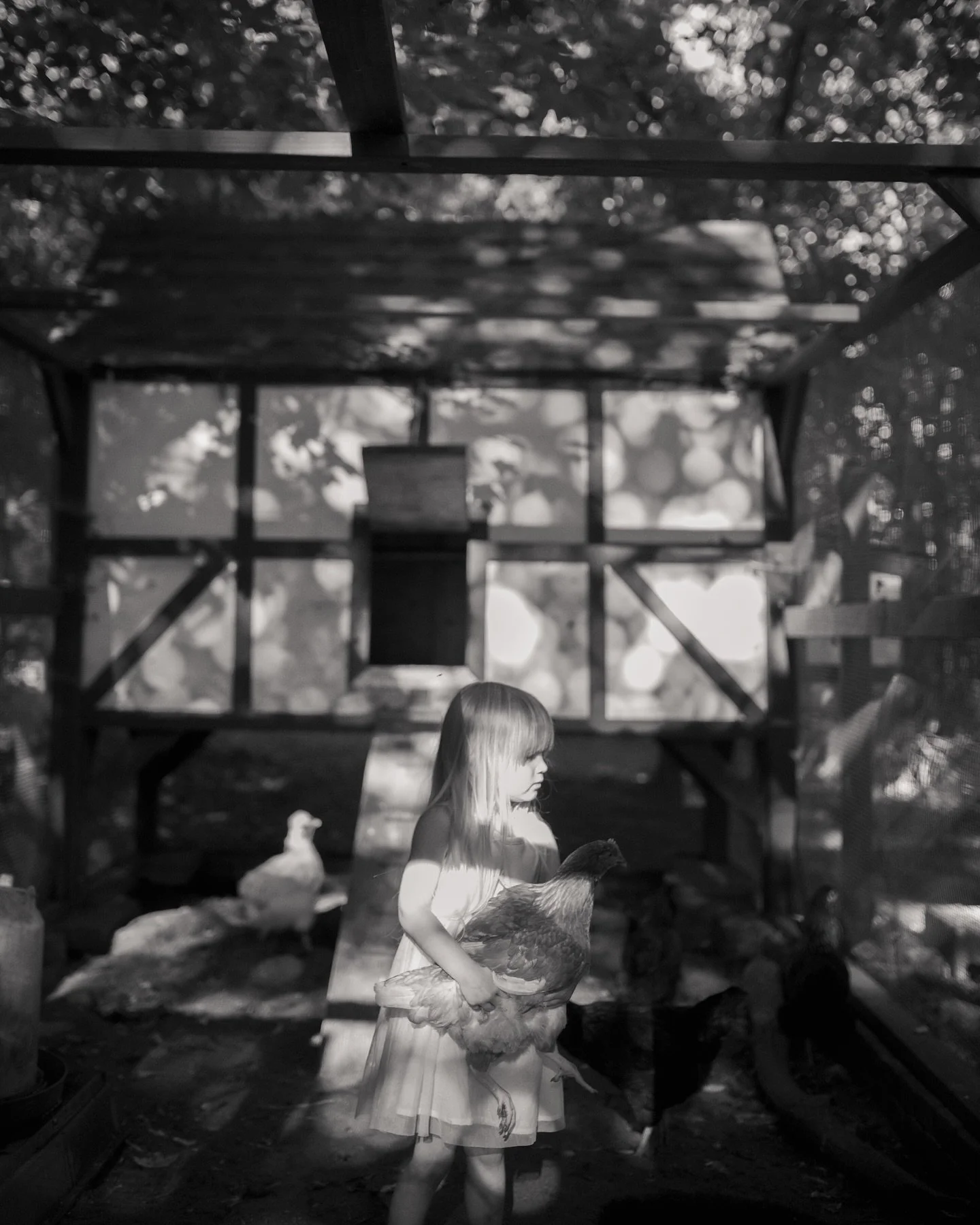 There were so many amazing photos from this family session, I had to make a Pt. 1 featuring the chicken coop. Getting to capture this family so authentically was definitely a highlight of my summer photo season. Stay tuned for Pt.2! ⠀⠀⠀⠀⠀⠀⠀⠀⠀ ⠀⠀⠀⠀⠀⠀⠀