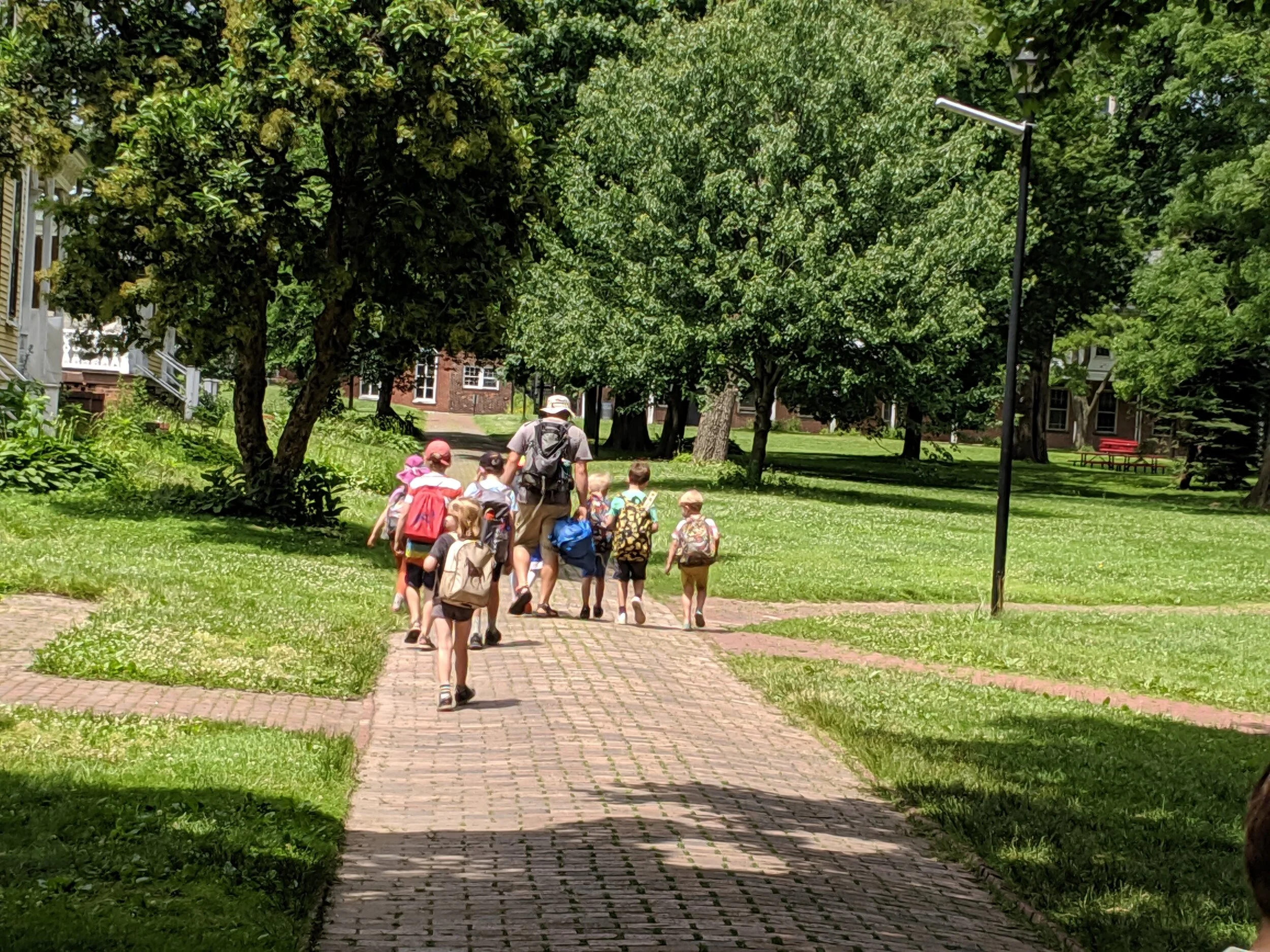 MVIMG_20190624_141151.jpg