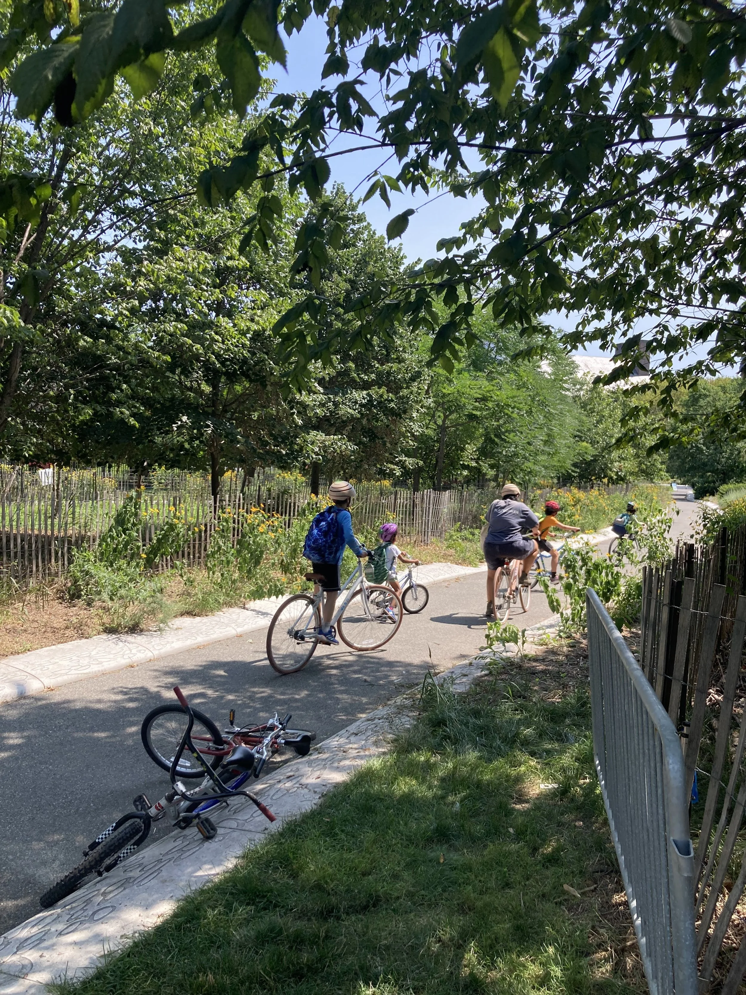 Exploring the Island