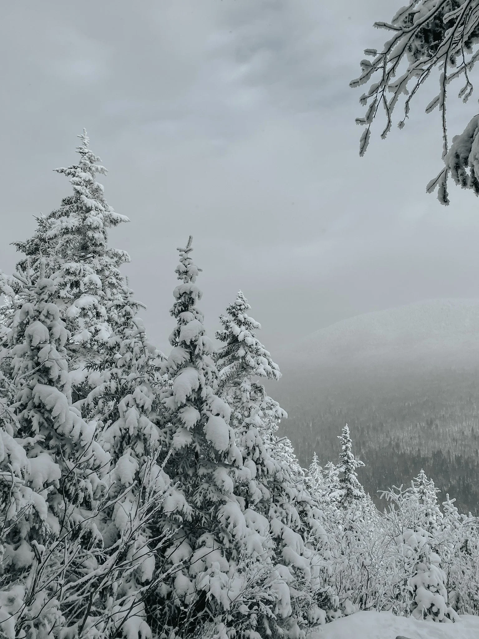 10 activités gratuites en janvier 2024!