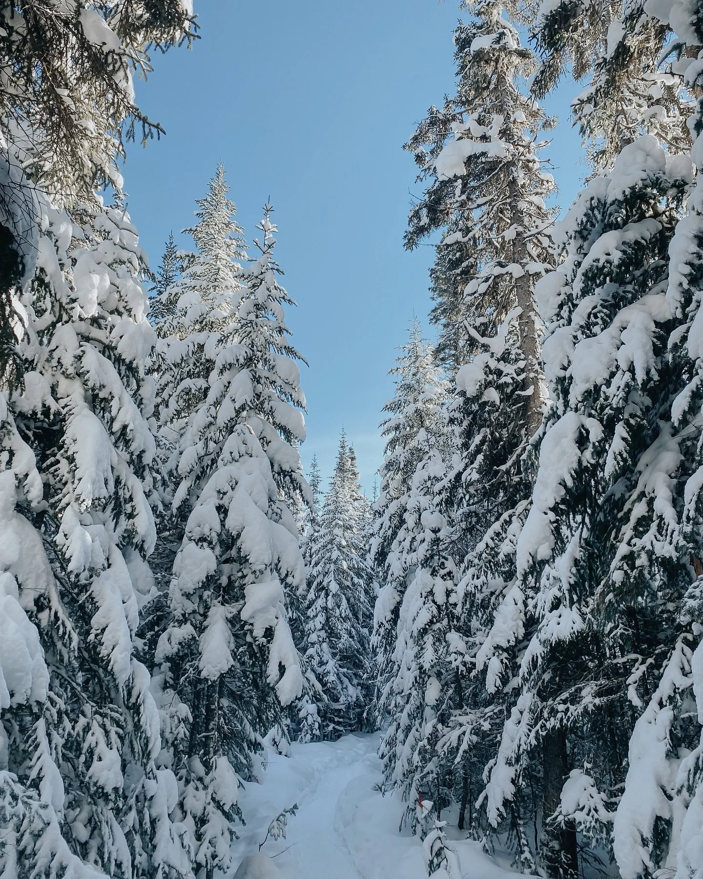 &Agrave; la recherche d&rsquo;activit&eacute;s gratuites pour bouger durant la rel&acirc;che? 

Festival, Cirque, Chasse au tr&eacute;sor, Raquettes, Discoglace, Rallye, Yoga, Acc&egrave;s gratuit aux parcs r&eacute;gionaux, Ski, M&eacute;ditation, e