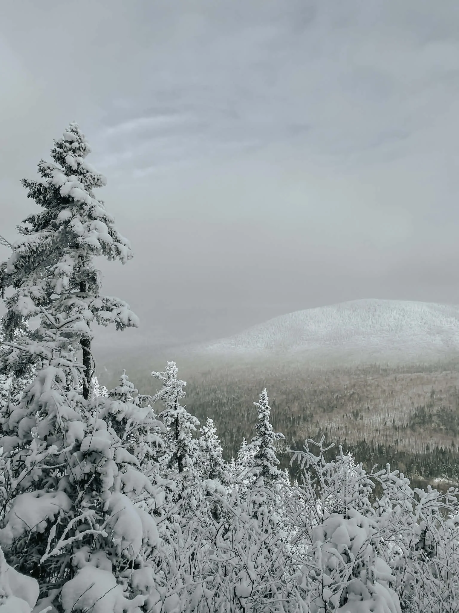 Activités GRATUITES (Décembre 2024)