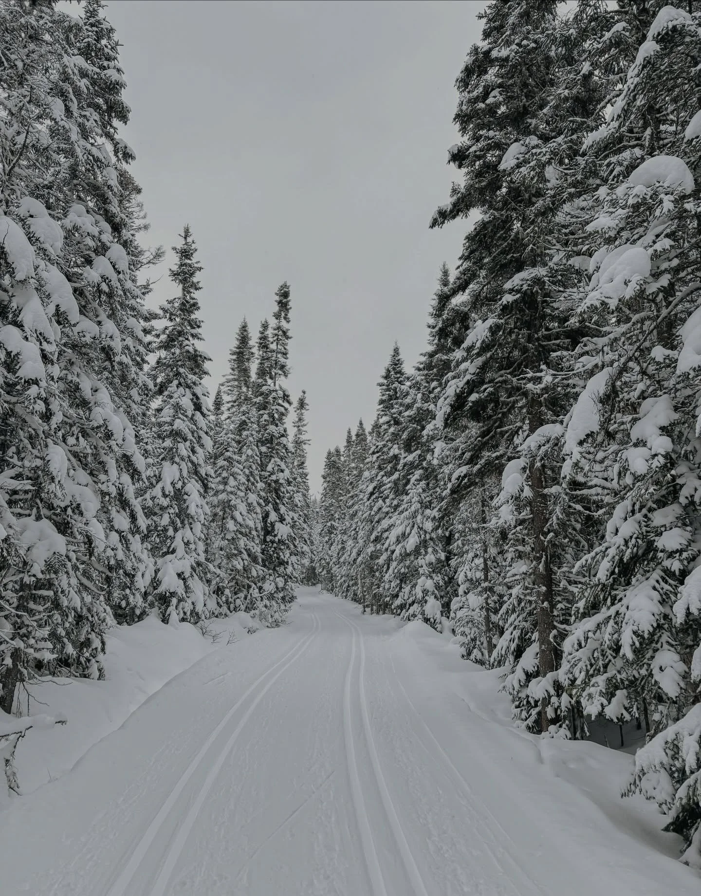 Tu cherches des id&eacute;es pour bouger en janvier? Des classiques, oui&hellip;mais aussi quelques activit&eacute;s qu&rsquo;on voit moins souvent 👀

Je t&rsquo;en propose 10. 
L&rsquo;article est en ligne, lien dans la bio! 🤍

:)

@parcs.canada @