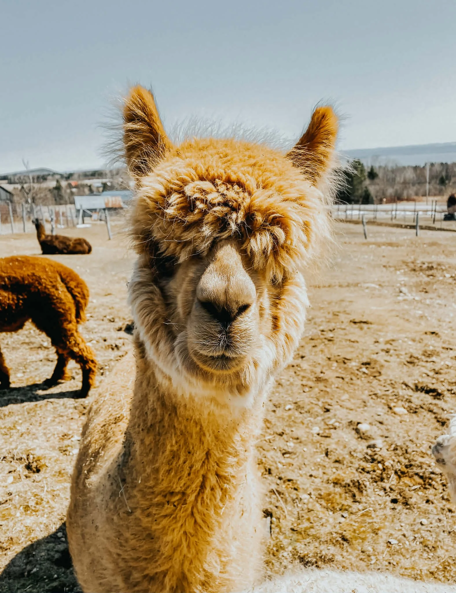 10 activités spéciales pour bouger en avril