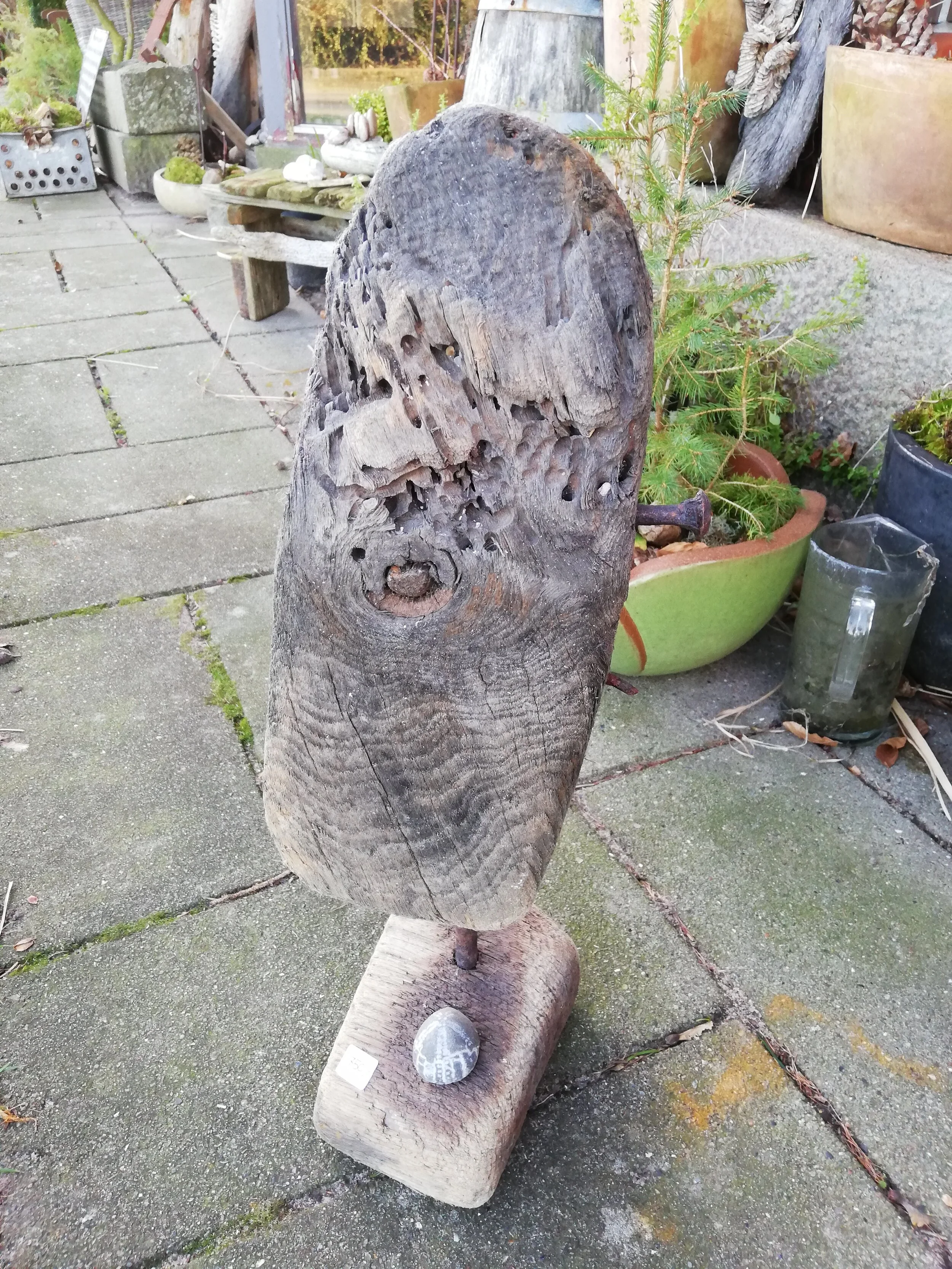 Vare nr. 67 - Drivtømmerskulptur med forstenet søpindsvin og jernnagle - H56cm L18cm B15cm