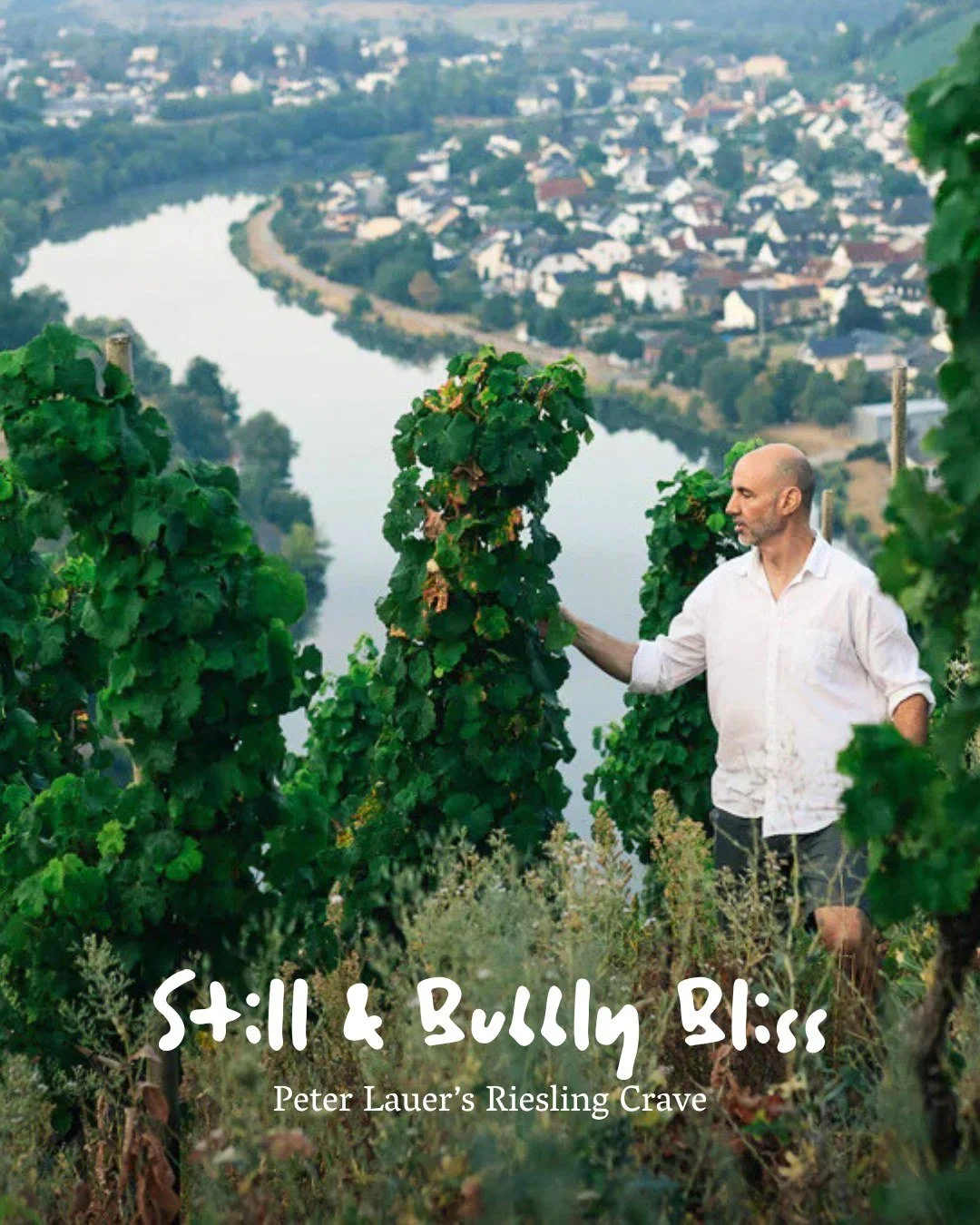 講親德國Riesling,提起𝐏𝐞𝐭𝐞𝐫 𝐋𝐚𝐮𝐞𝐫通常都越講越興奮。呢個位於Saar嘅家族酒莊,由第五代釀酒師Florian Lauer帶領,釀造出當地風味嘅葡萄酒:濃郁但唔會太重,優雅又充滿活力💫。Florian用有機方法同天然酵母發酵,讓陡峭葡萄園嘅板岩土壤特色完全發揮。我哋嘅收藏有三支超正嘅酒,完美show到Lauer嘅功力:Peter Lauer Schonfels Fass 11 Riesling GG 2020、Peter Lauer Sekt Brut 20