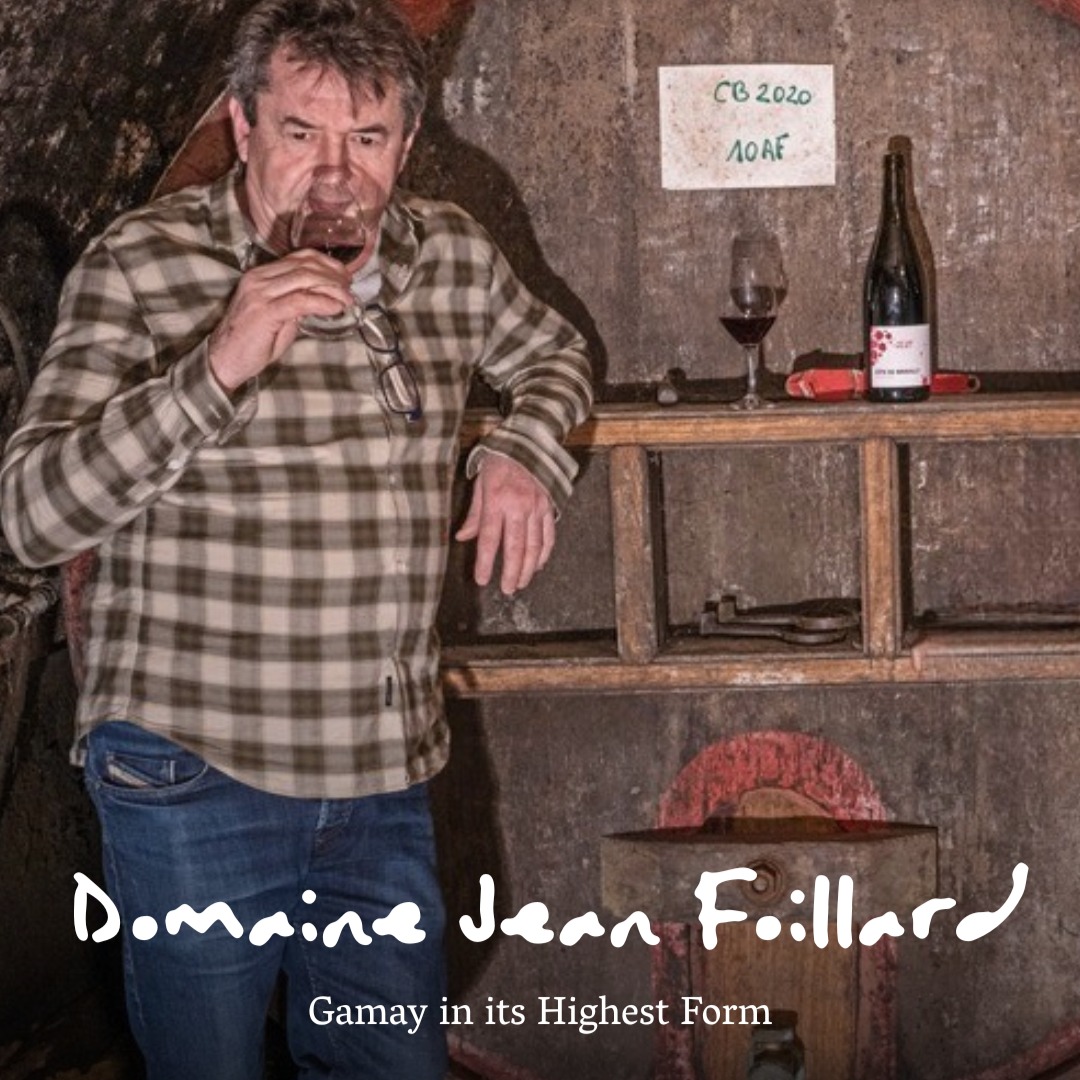 Domaine Jean Foillard – Gamay in its Highest Form