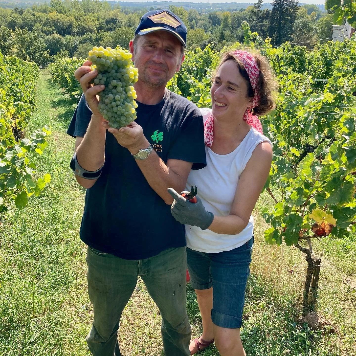 Chenin Lovers Must Not Miss – Why Domaine Laureau Is the Future of Savennieres