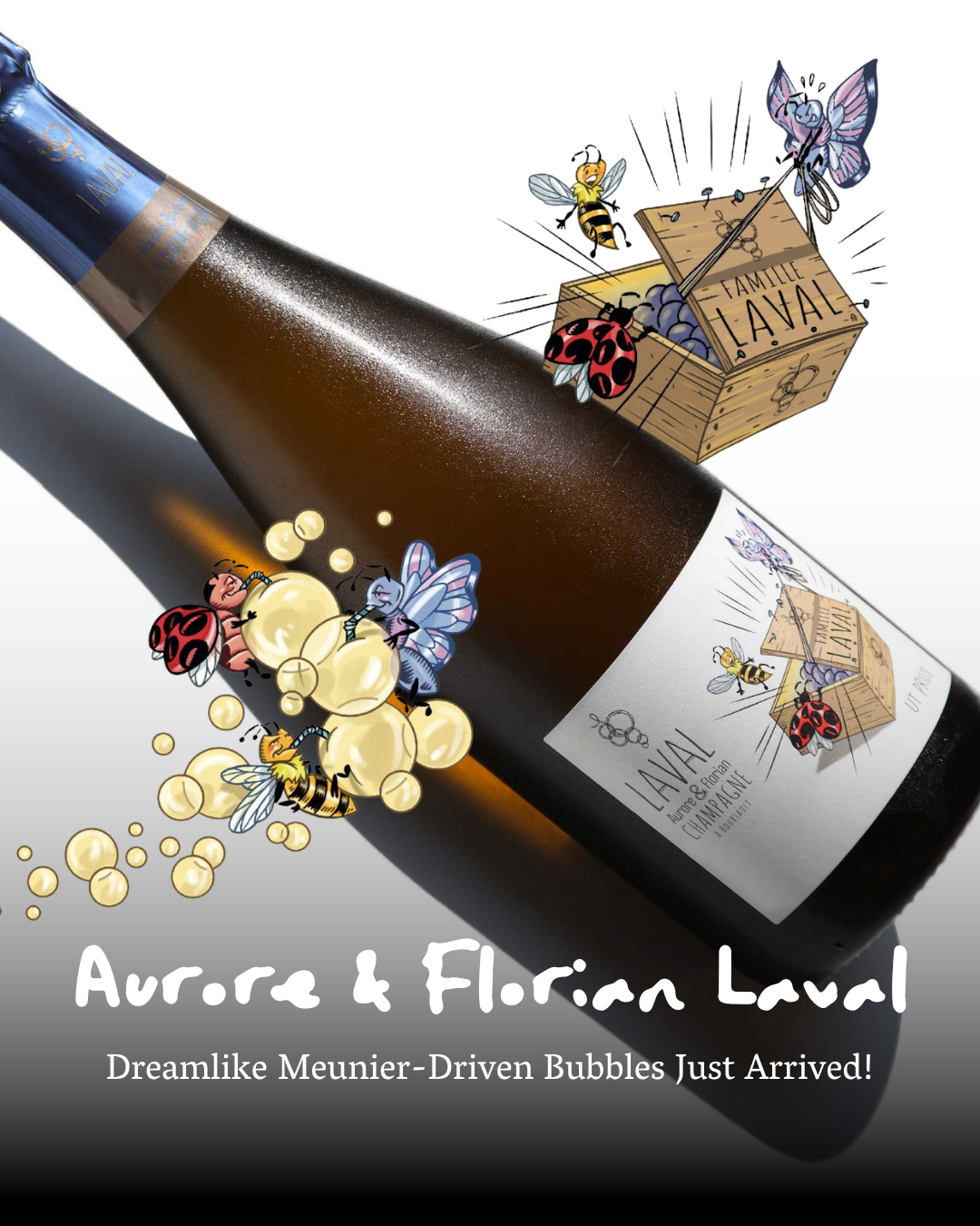 Aurore &amp; Florian Laval - Dreamlike Meunier-Driven Bubbles Just Arrived