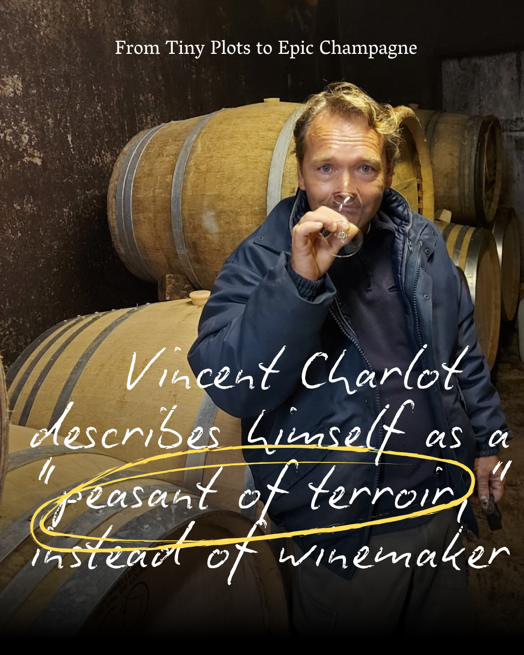 From Tiny Plots to Epic Champagne: Vincent Charlot Offer