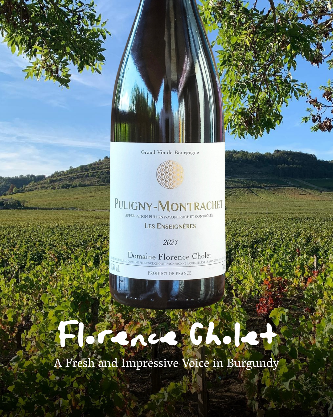 Florence Cholet: A Fresh and Impressive Voice in Burgundy