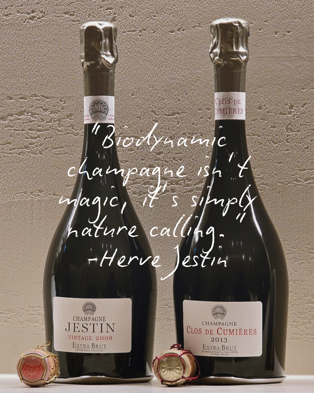 Herve Jestin: The Quiet Legend of Biodynamic Champagne