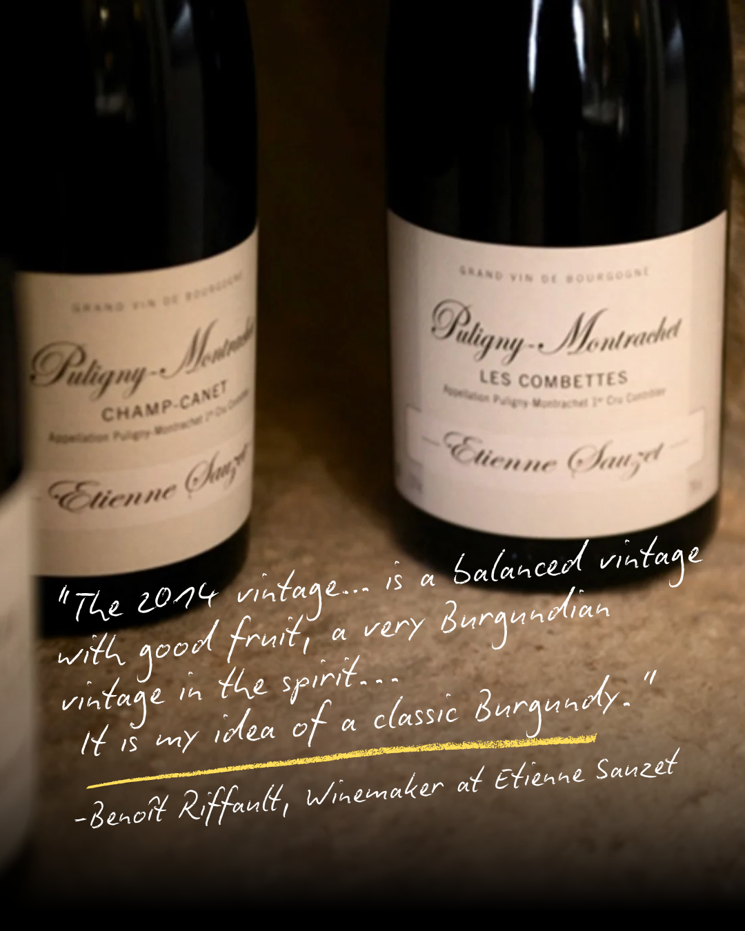 Etienne Sauzet 2014 Puligny-Montrachet Premier Crus Now In – 5% Off Until July 1!