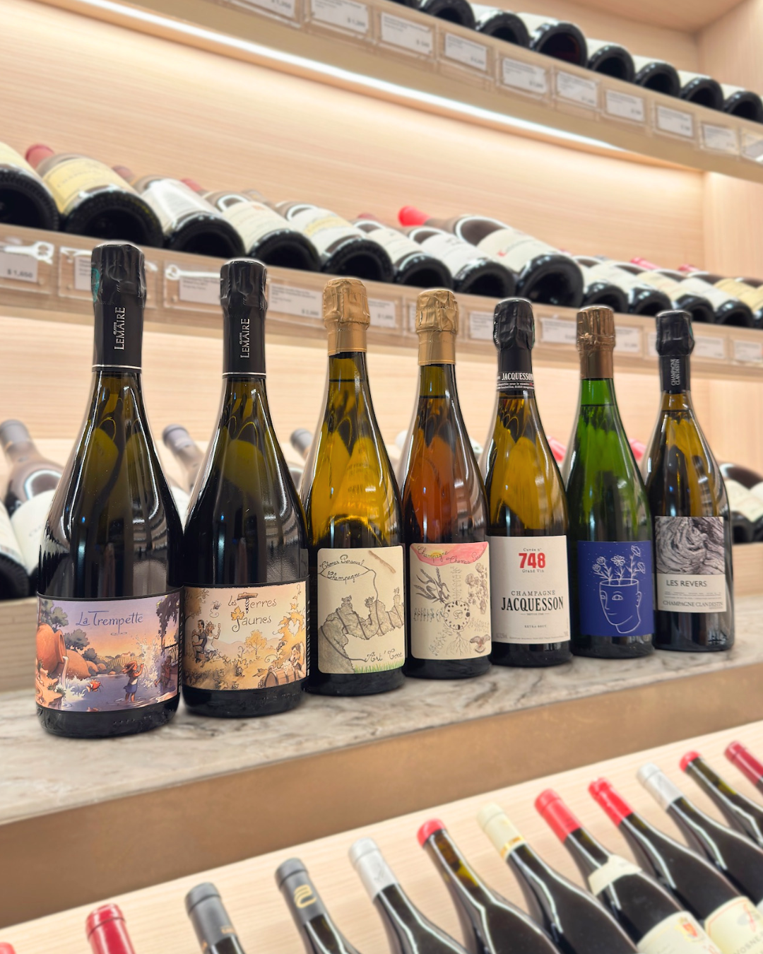 🍾 Fresh Champagne Arrivals You’ll Love